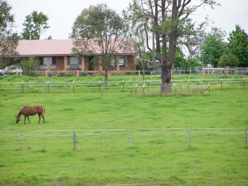Cedar Party NSW 2429