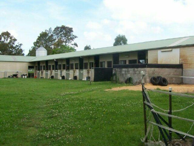 Cedar Party NSW 2429