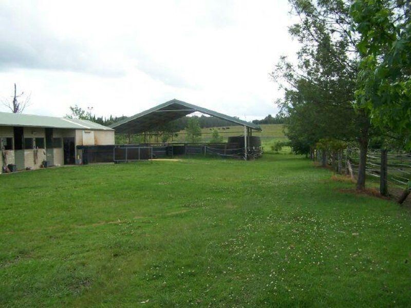 Cedar Party NSW 2429