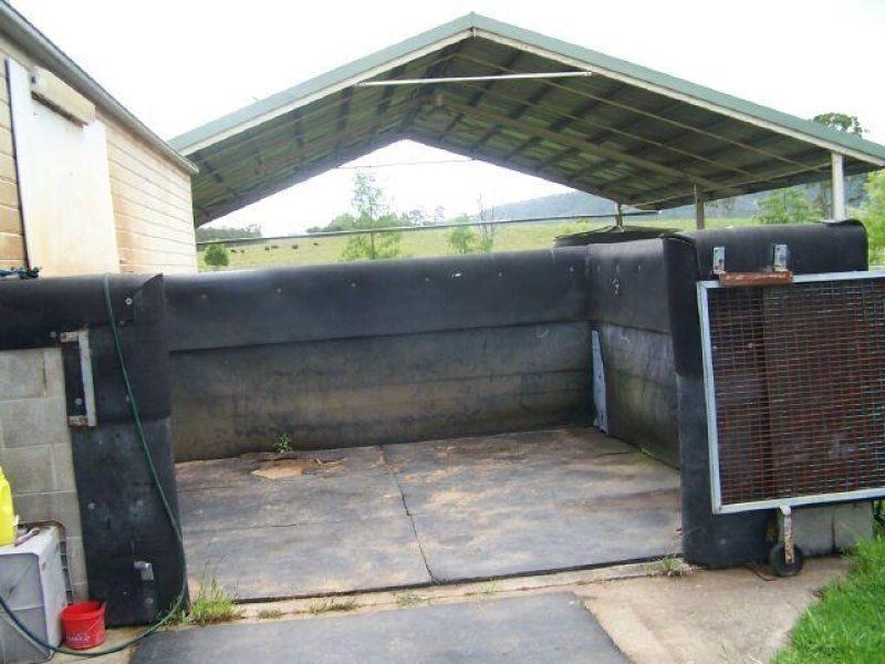 Cedar Party NSW 2429