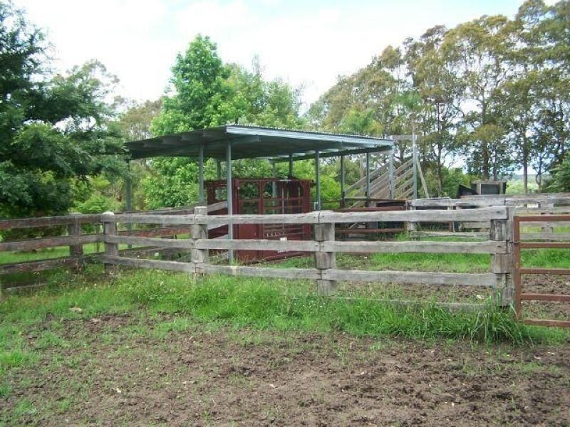 Cedar Party NSW 2429