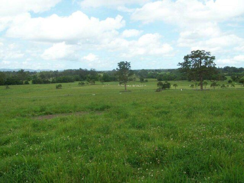 Cedar Party NSW 2429