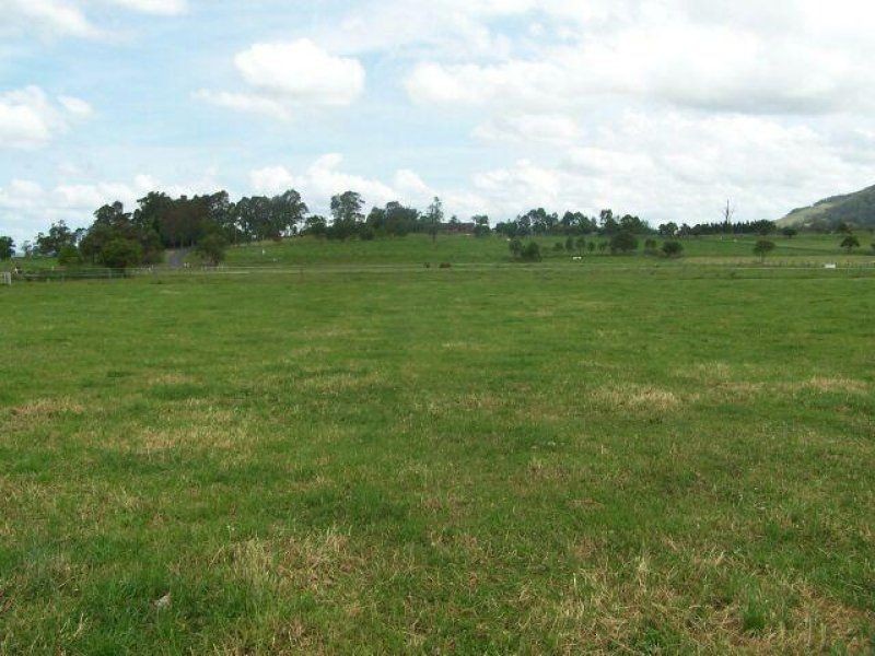 Cedar Party NSW 2429