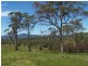 Lot 7 Killawarra Station Lane, Killawarra NSW 2429