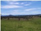 Lot 7 Killawarra Station Lane, Killawarra NSW 2429