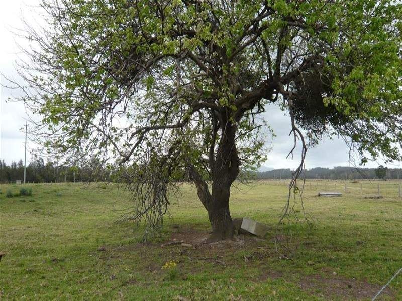 Lot 29 Harrington Road, Coopernook NSW 2426