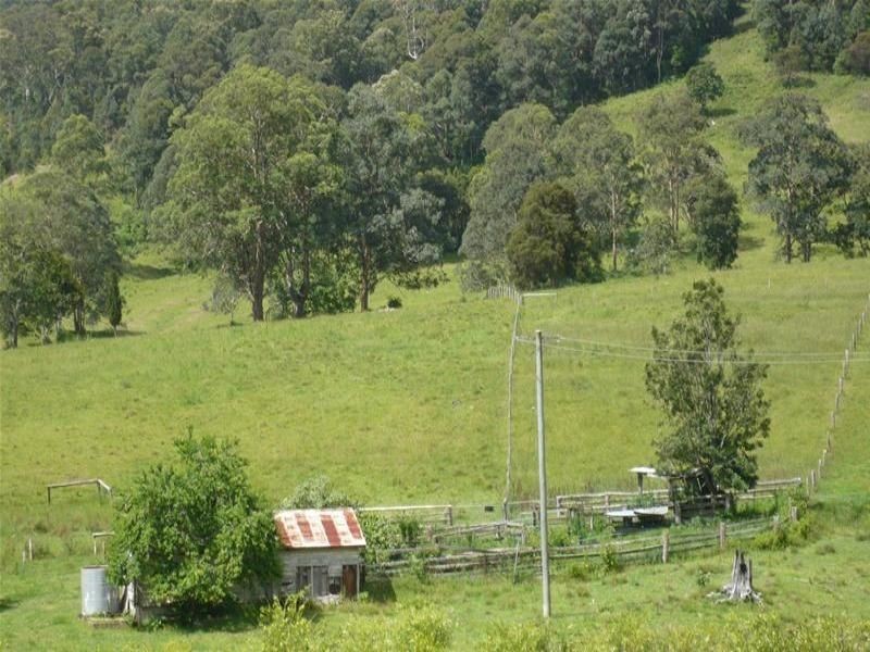 Kundibakh NSW 2429