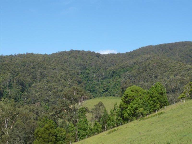 Kundibakh NSW 2429