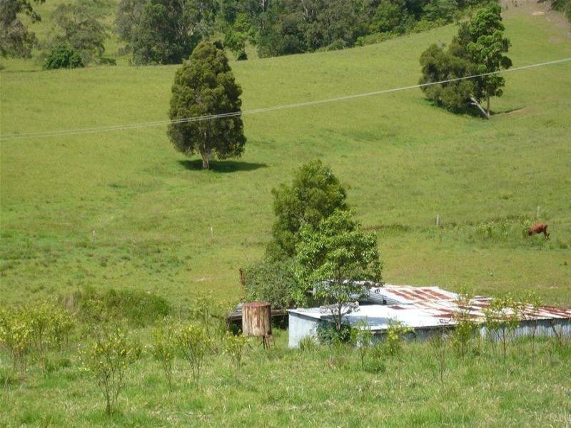 Kundibakh NSW 2429