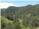 Kundibakh NSW 2429