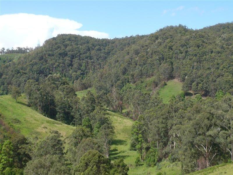Kundibakh NSW 2429