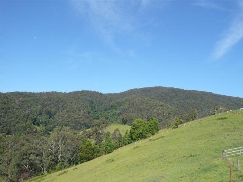 Kundibakh NSW 2429