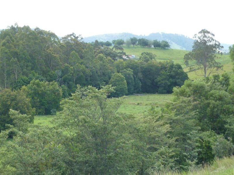 Kundibakh NSW 2429