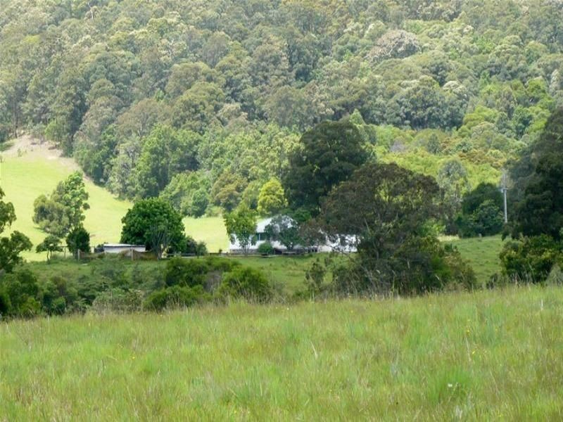 Kundibakh NSW 2429