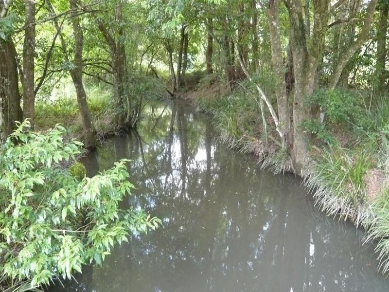 Kundibakh NSW 2429