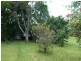 Kundibakh NSW 2429