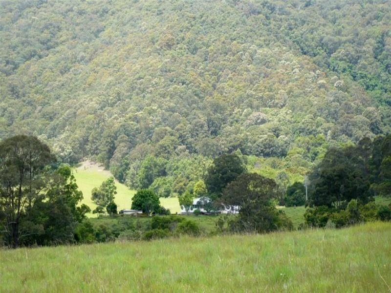 Kundibakh NSW 2429
