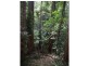 Hannam Vale NSW 2443