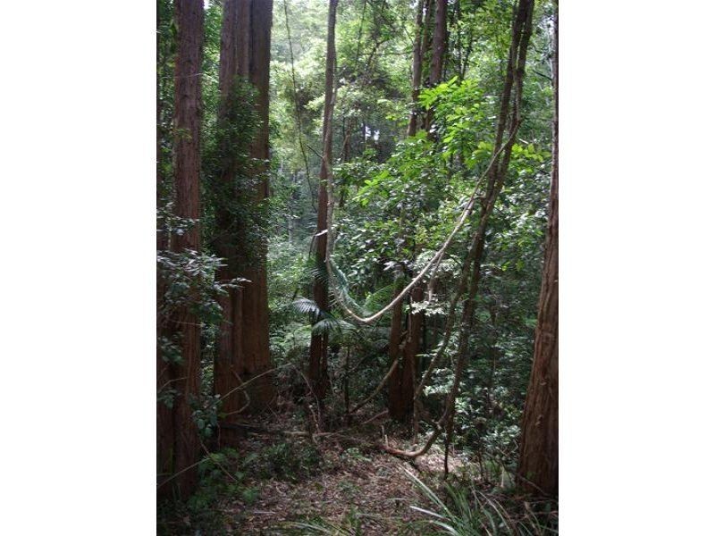 Hannam Vale NSW 2443