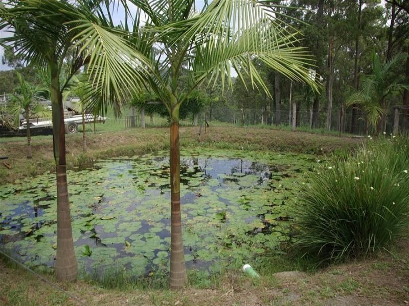 57 Bayel Drive, Koorainghat NSW 2430