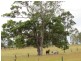 Cundletown NSW 2430