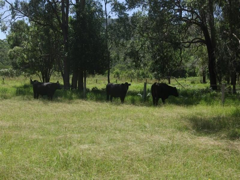 Lot 190 Central Lansdowne Road, Lansdowne NSW 2430