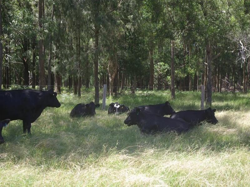 Lot 190 Central Lansdowne Road, Lansdowne NSW 2430