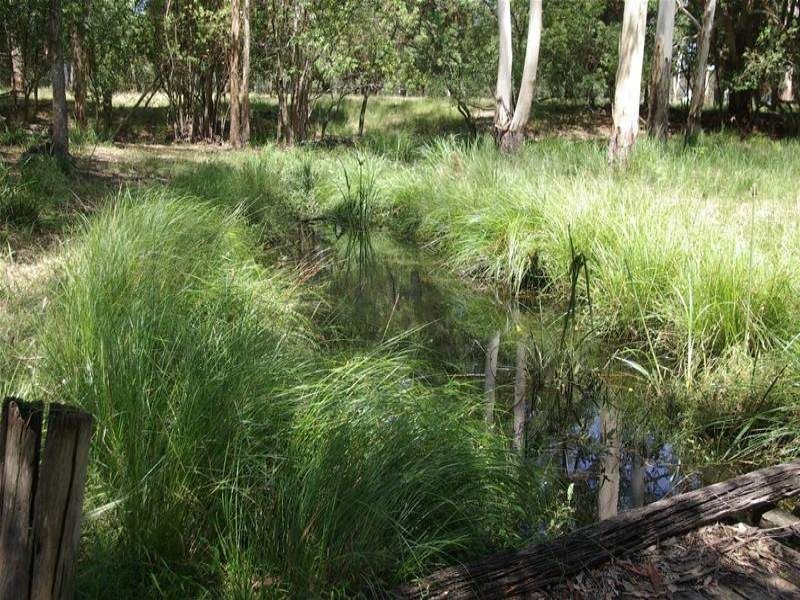 Lot 190 Central Lansdowne Road, Lansdowne NSW 2430