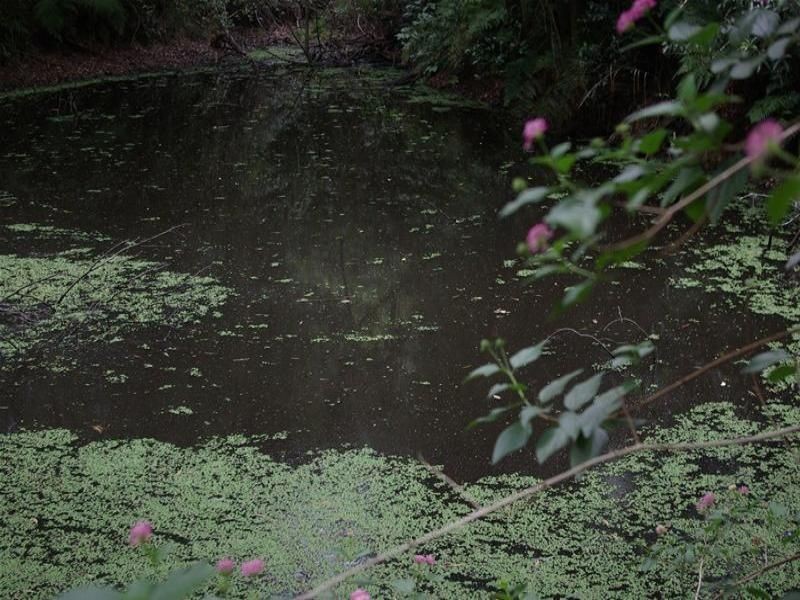 Koorainghat NSW 2430