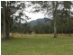1295 Cundle Road, Lansdowne NSW 2430