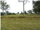 1295 Cundle Road, Lansdowne NSW 2430