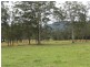 1295 Cundle Road, Lansdowne NSW 2430