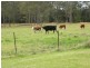 1295 Cundle Road, Lansdowne NSW 2430
