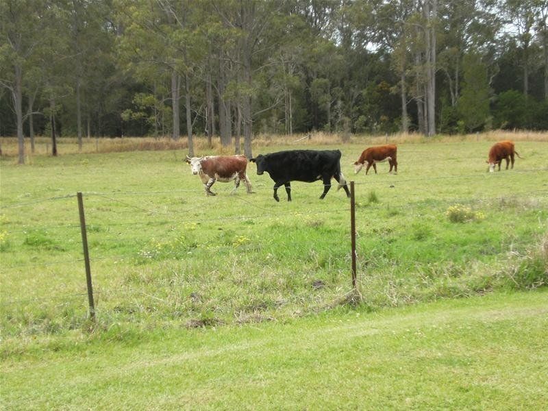 1295 Cundle Road, Lansdowne NSW 2430
