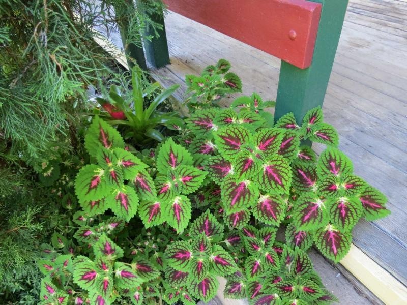 5691 The Bucketts Way, Burrell Creek NSW 2429