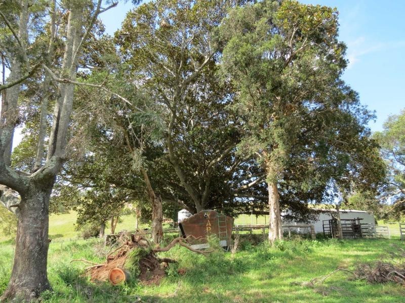 5691 The Bucketts Way, Burrell Creek NSW 2429