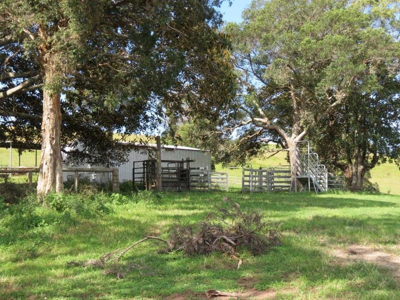 5691 The Bucketts Way, Burrell Creek NSW 2429