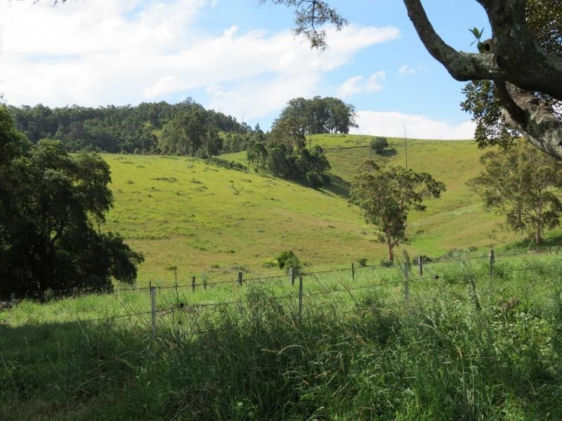 5691 The Bucketts Way, Burrell Creek NSW 2429