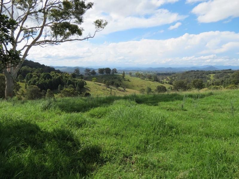 Lot 209, 5691 The Bucketts Way, Burrell Creek NSW 2429