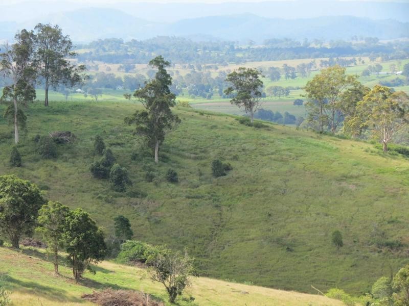 Lot 209, 5691 The Bucketts Way, Burrell Creek NSW 2429