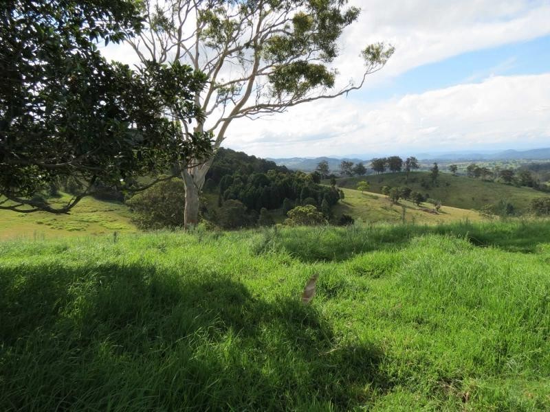 Lot 209, 5691 The Bucketts Way, Burrell Creek NSW 2429
