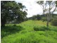 Lot 209, 5691 The Bucketts Way, Burrell Creek NSW 2429