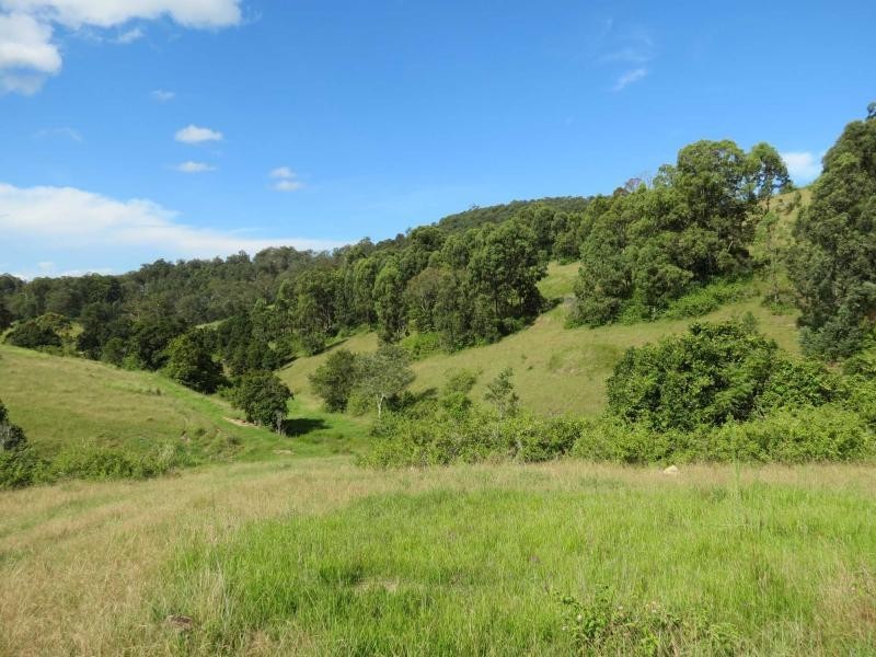 Lot 209, 5691 The Bucketts Way, Burrell Creek NSW 2429