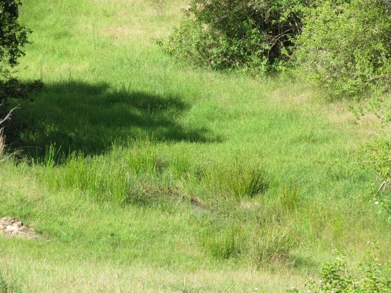 Lot 209, 5691 The Bucketts Way, Burrell Creek NSW 2429