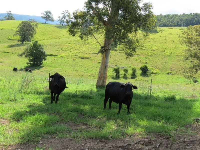 Lot 209, 5691 The Bucketts Way, Burrell Creek NSW 2429