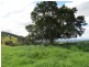 Lot 209, 5691 The Bucketts Way, Burrell Creek NSW 2429