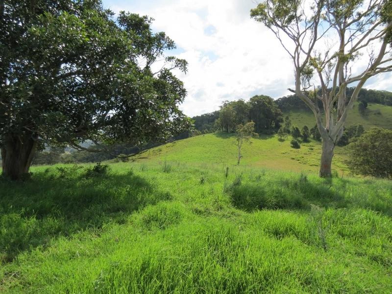 Lot 209, 5691 The Bucketts Way, Burrell Creek NSW 2429