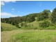 Lot 209, 5691 The Bucketts Way, Burrell Creek NSW 2429