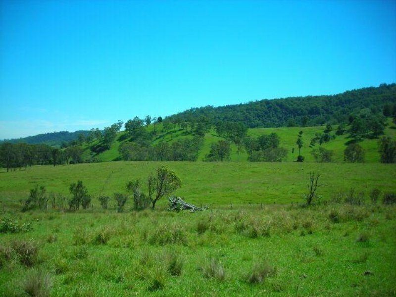 Belbora NSW 2422