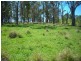 Belbora NSW 2422